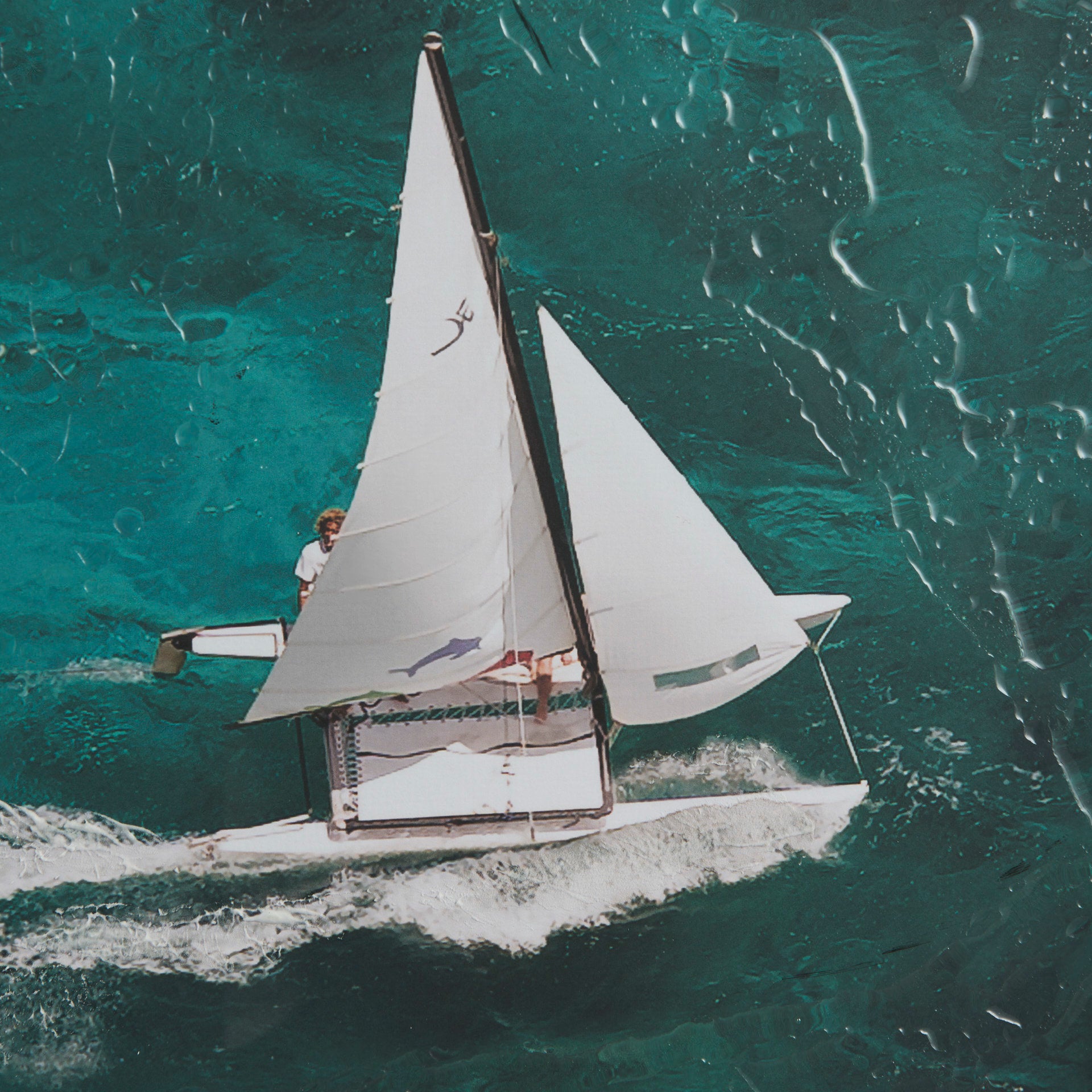 Hobie Sailing Framed Art