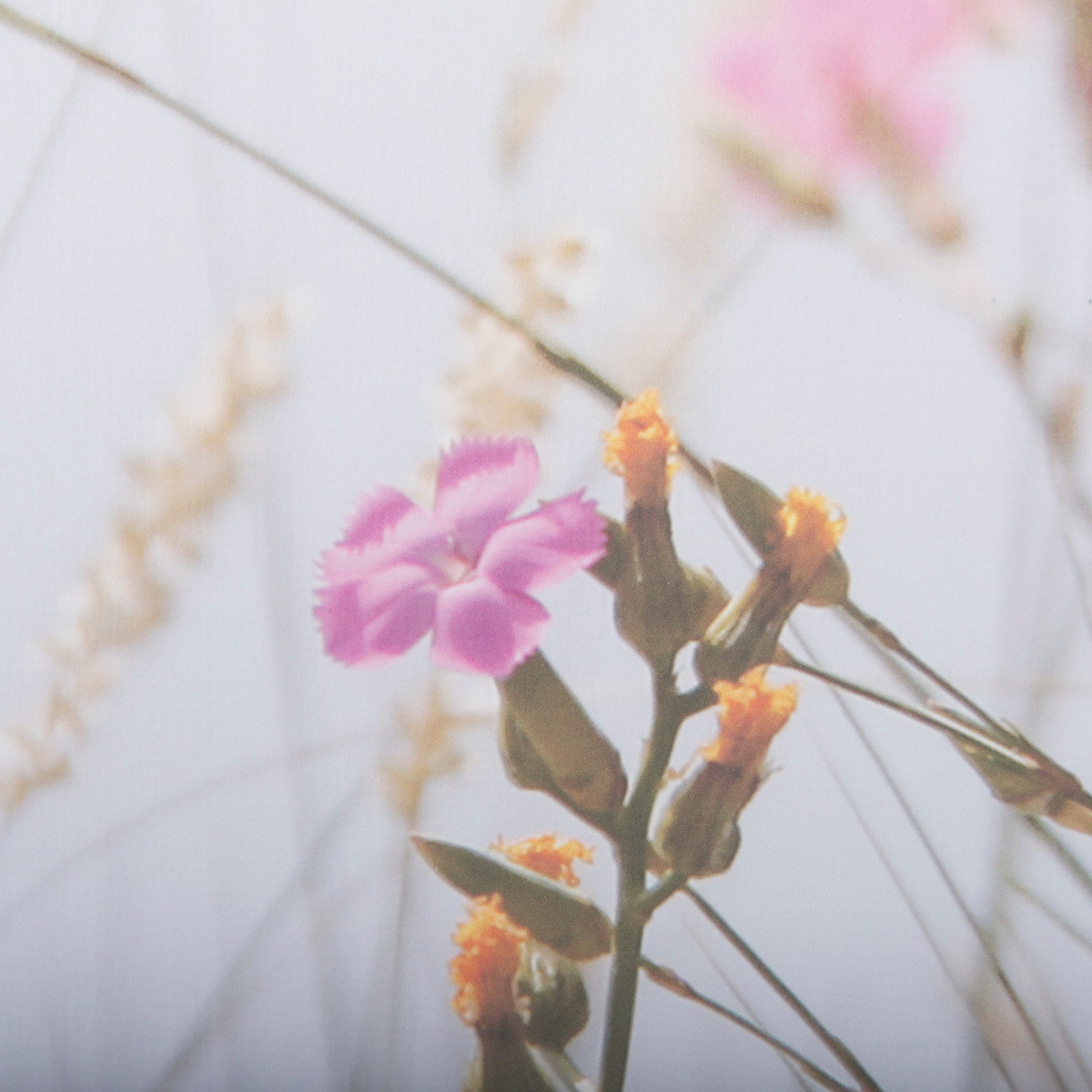 Wildflower Fade Framed Art