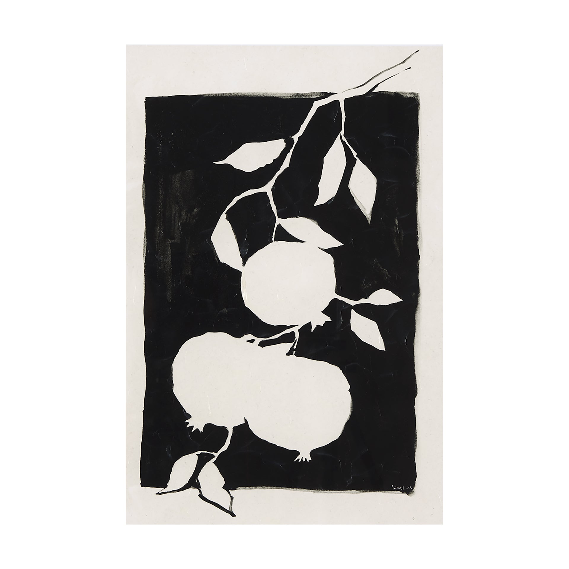 Pomegranate Branch Silhouette Canvas