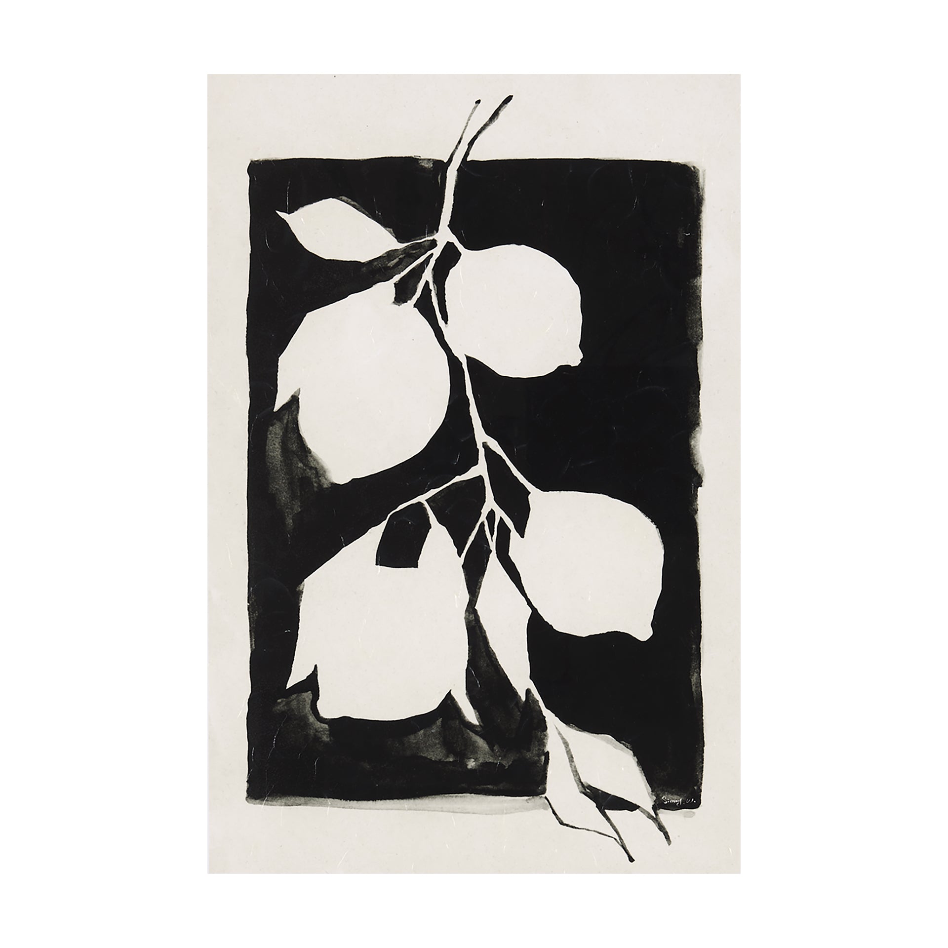 Lemon Branch Silhouette Canvas