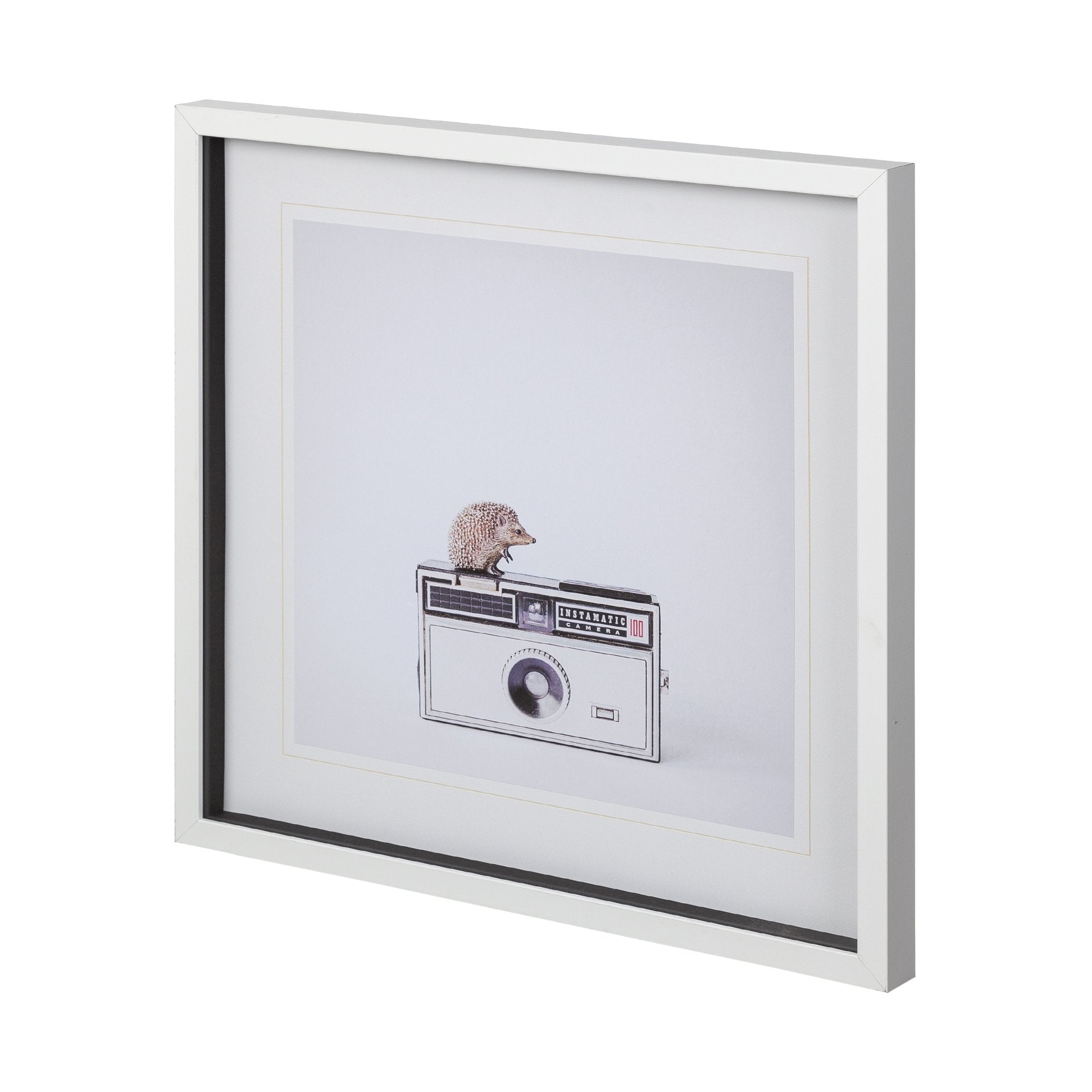 HEDGEHOG & VINTAGE CAMERA ART