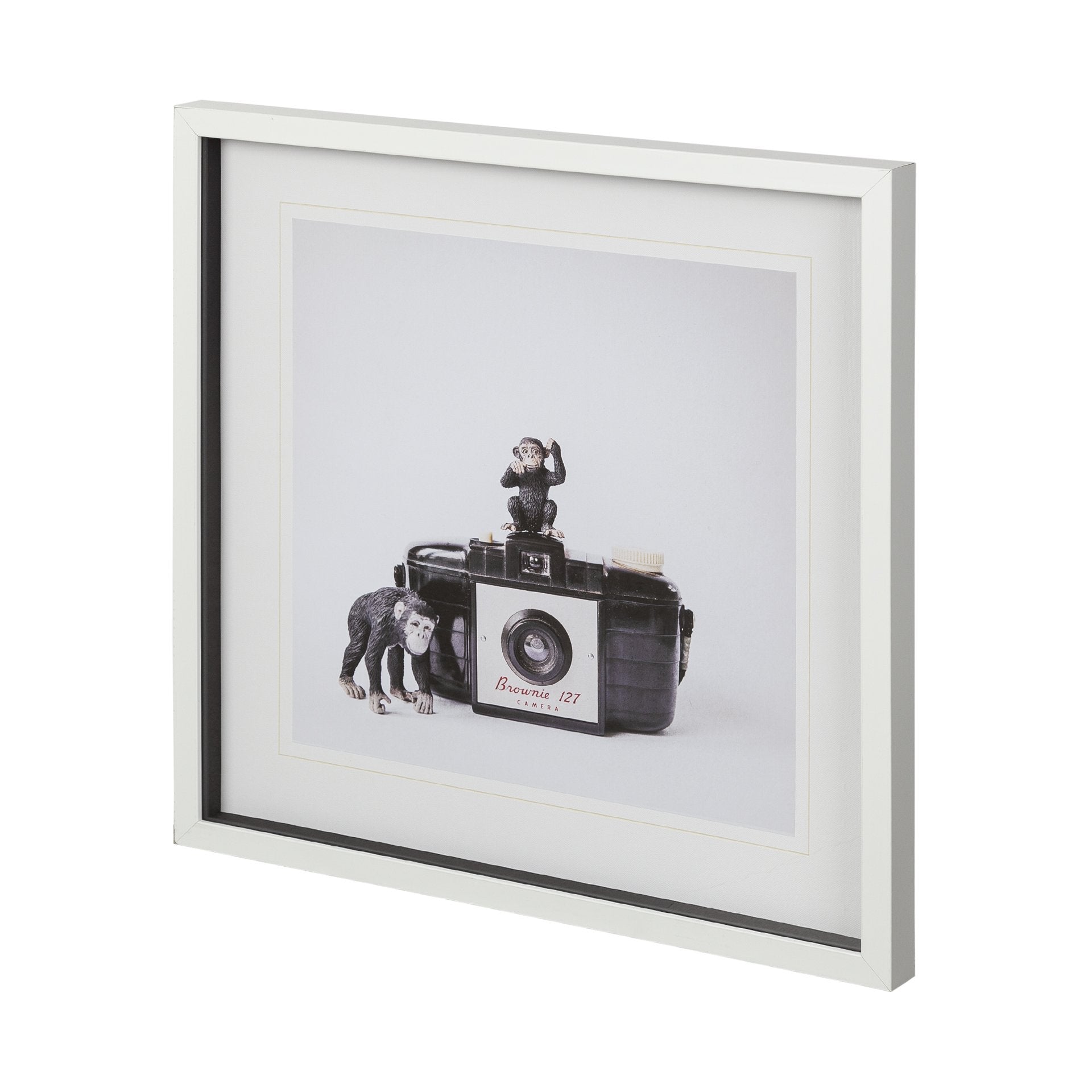 MONKEYS & VINTAGE CAMERA ART