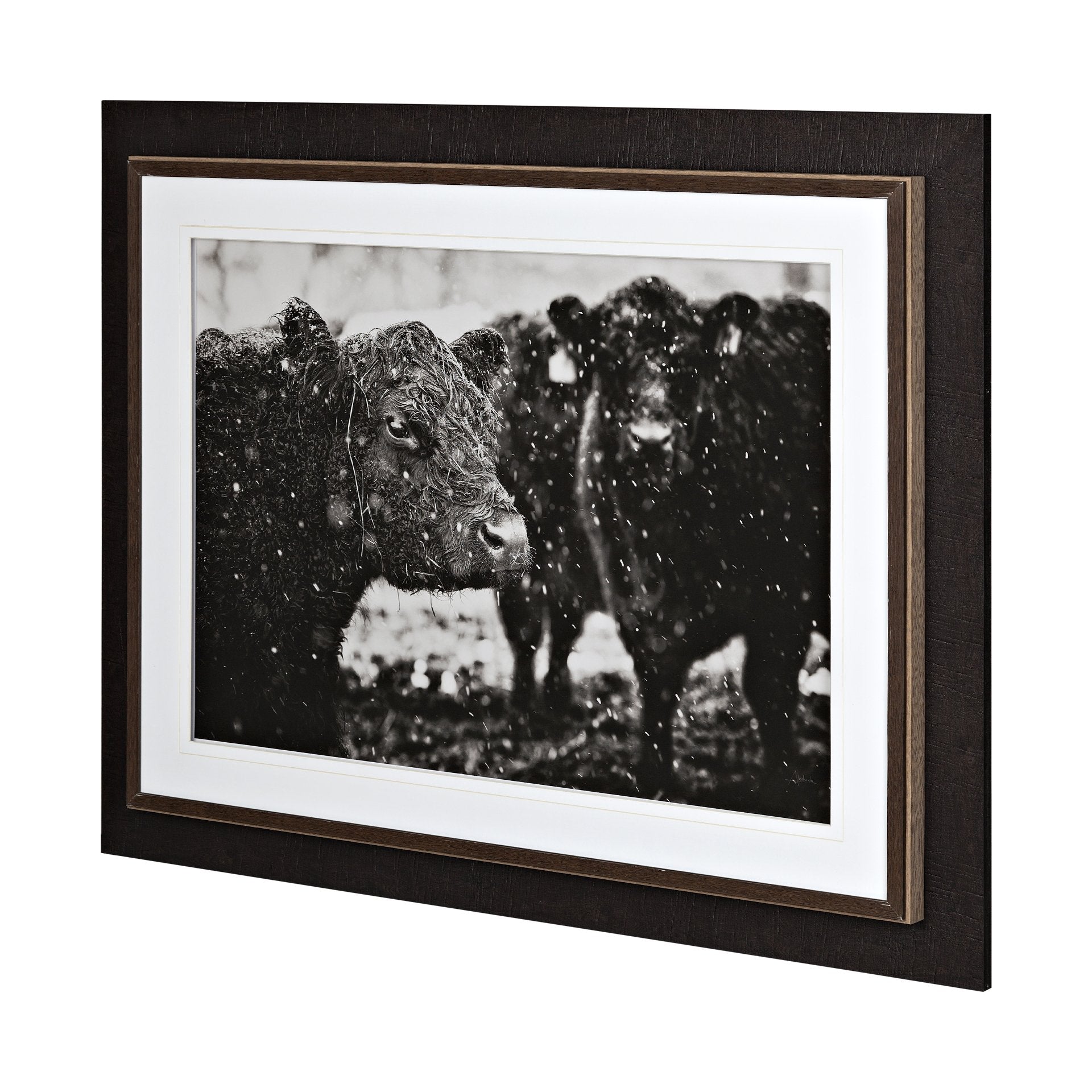 FRAMED
