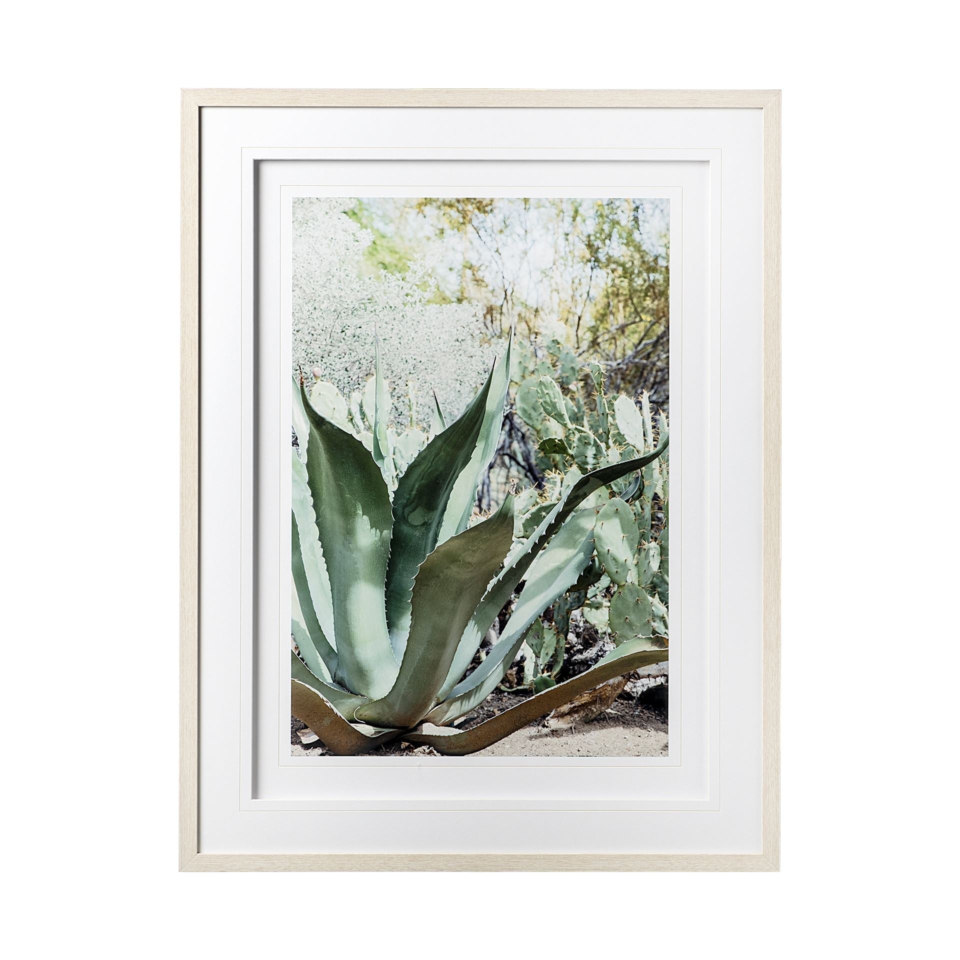 Alzira Aloe Framed Art