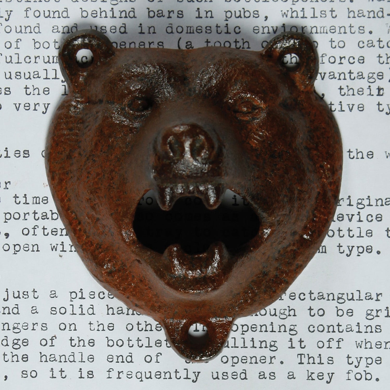 Bear Bottle Opener