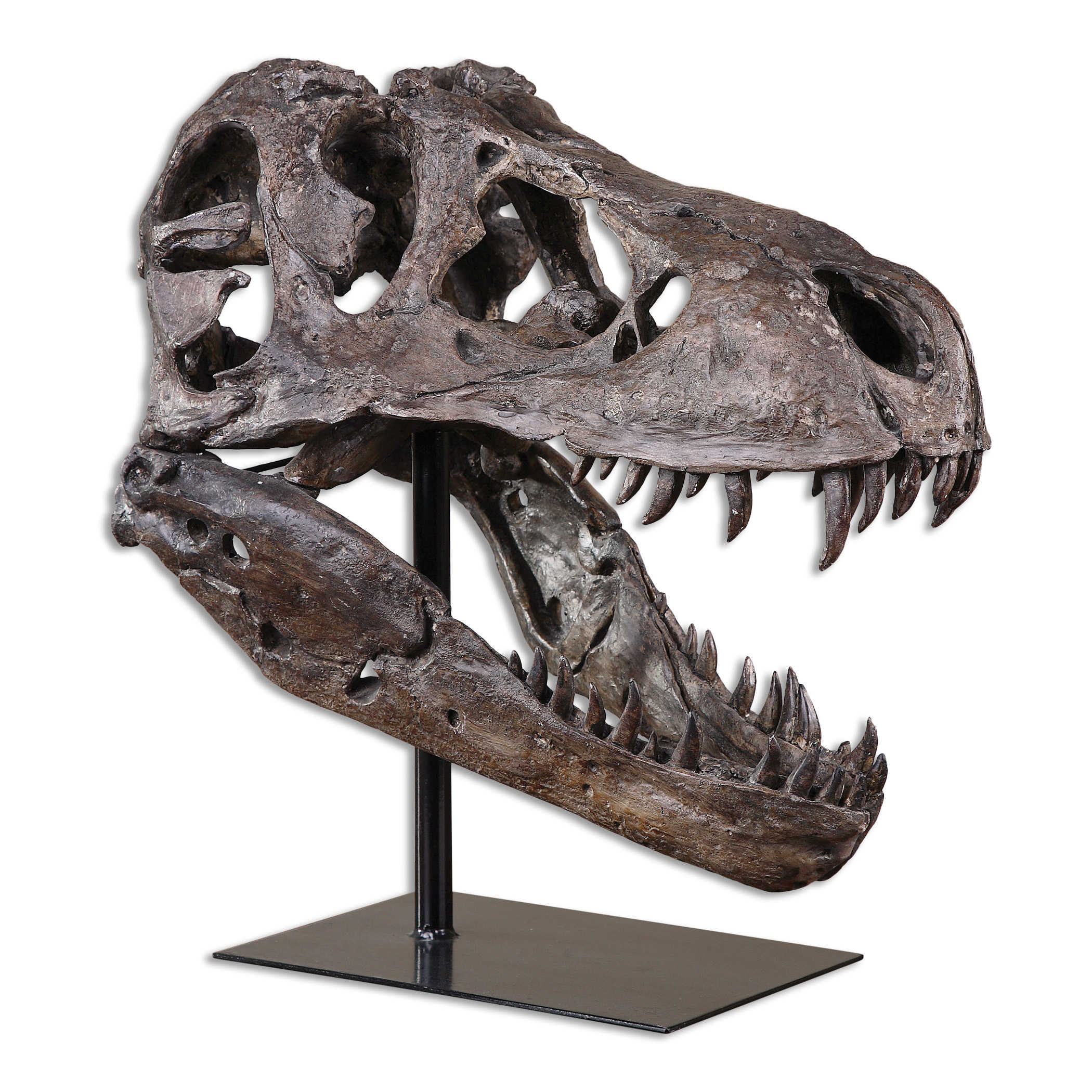 Tyrannosaurus Head