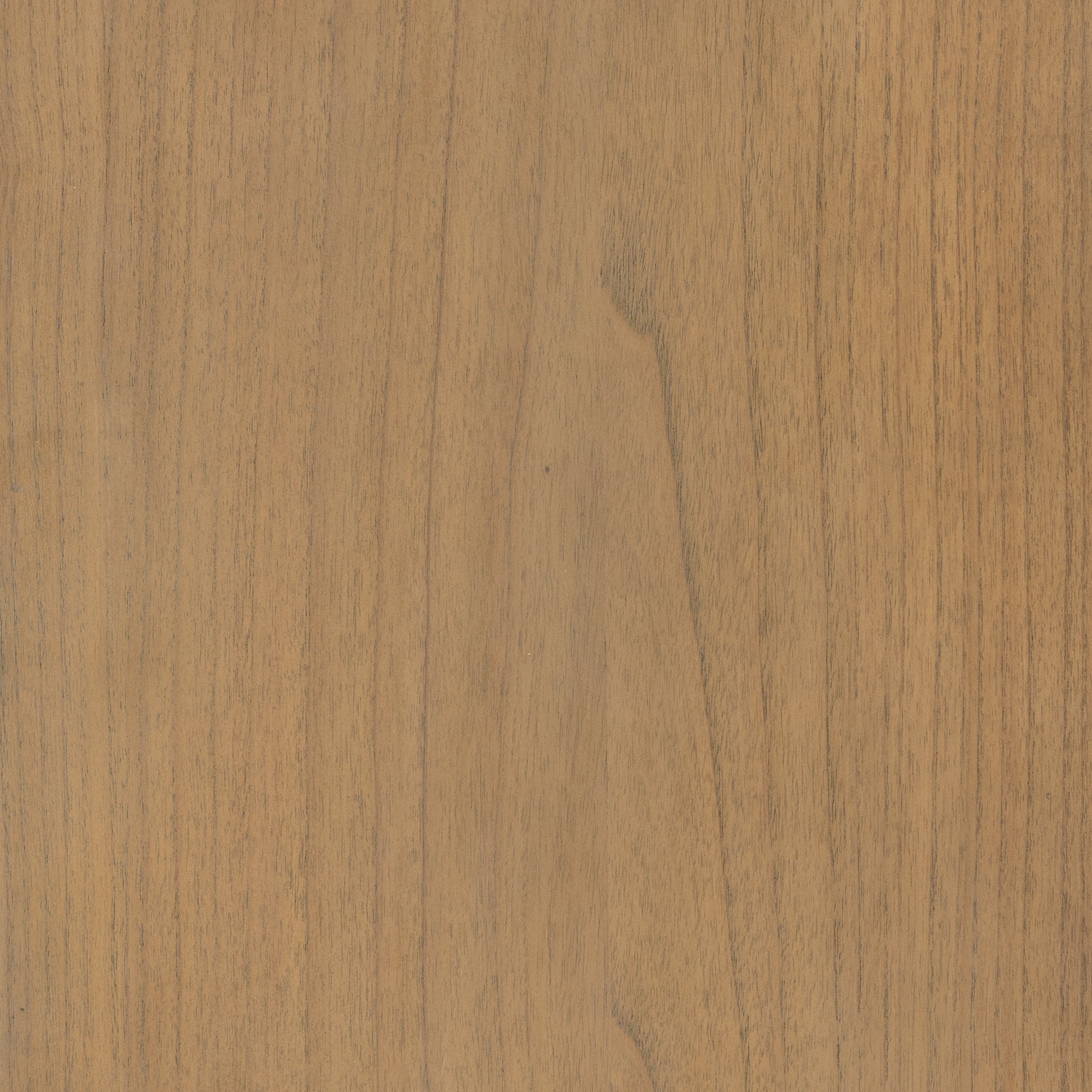 Abby Cabinet