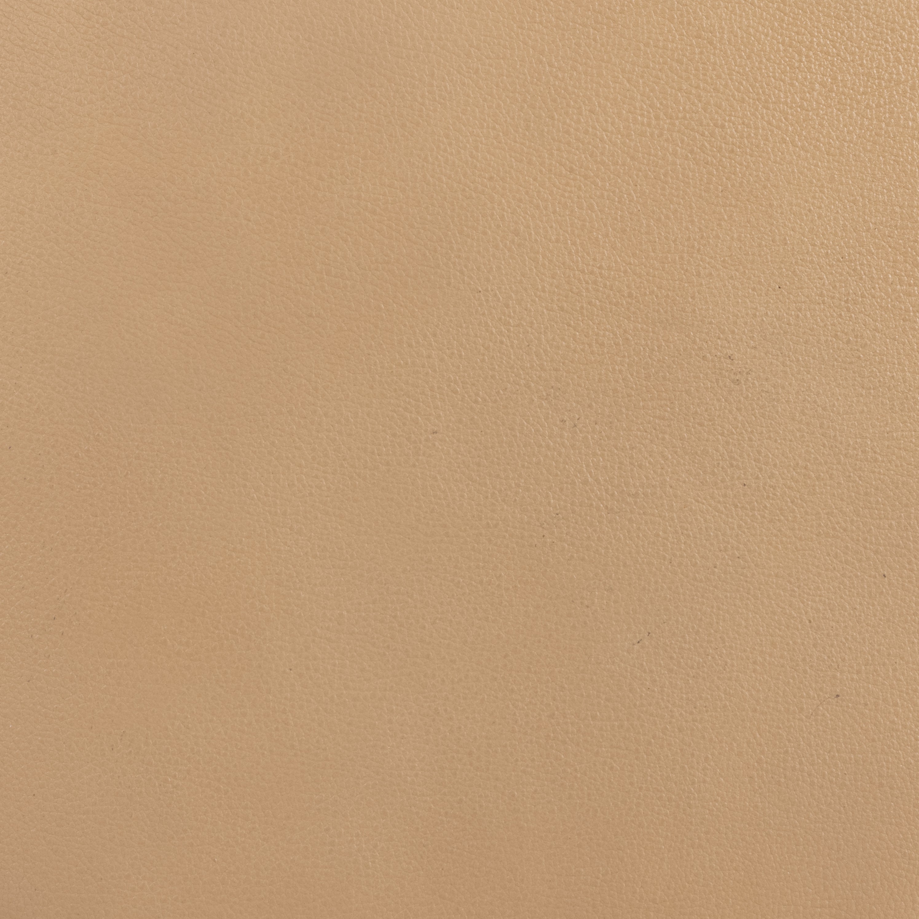 Counter / Natural Leather