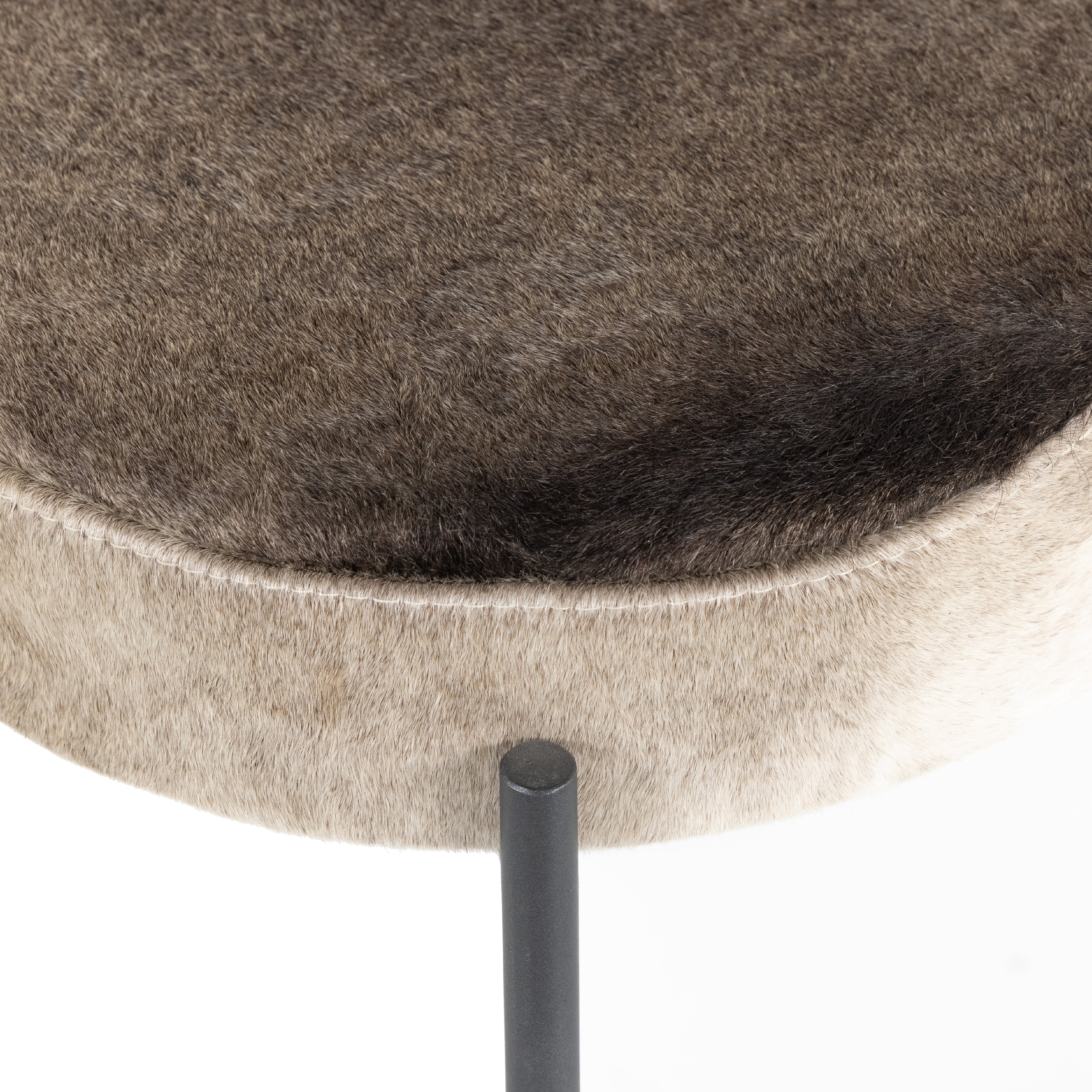 Bar / Speckled Hide