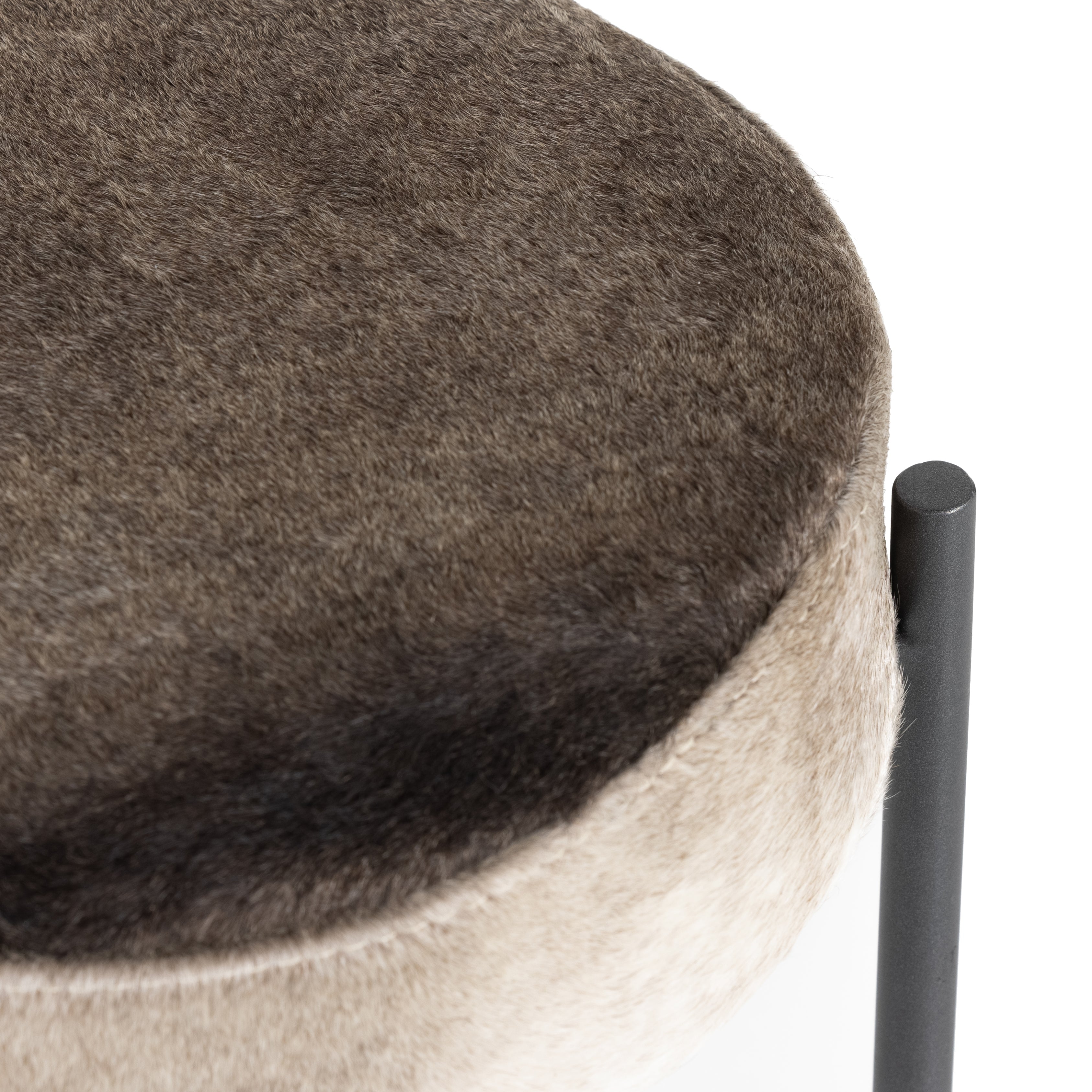 Bar / Speckled Hide
