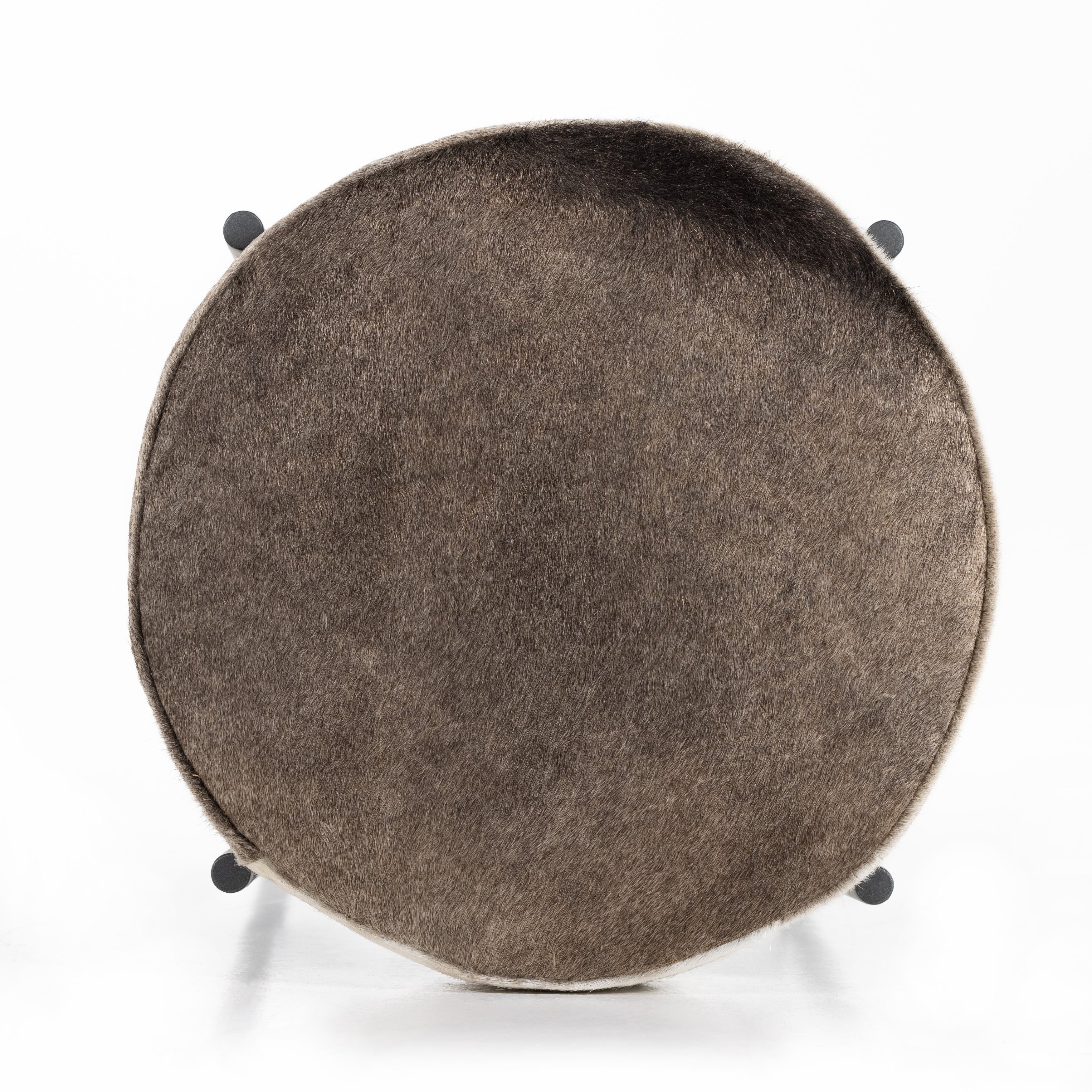 Bar / Speckled Hide