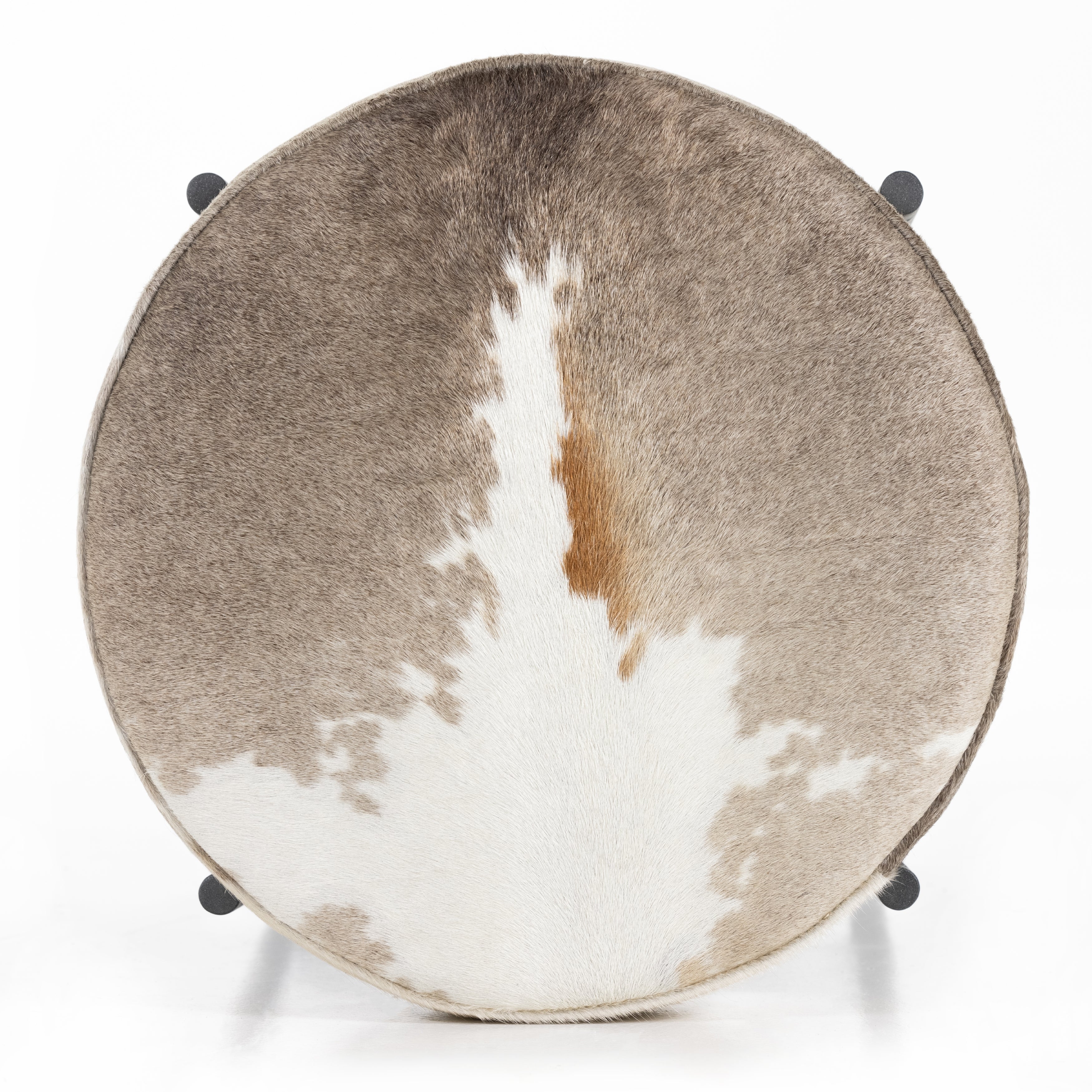Counter / Speckled Hide
