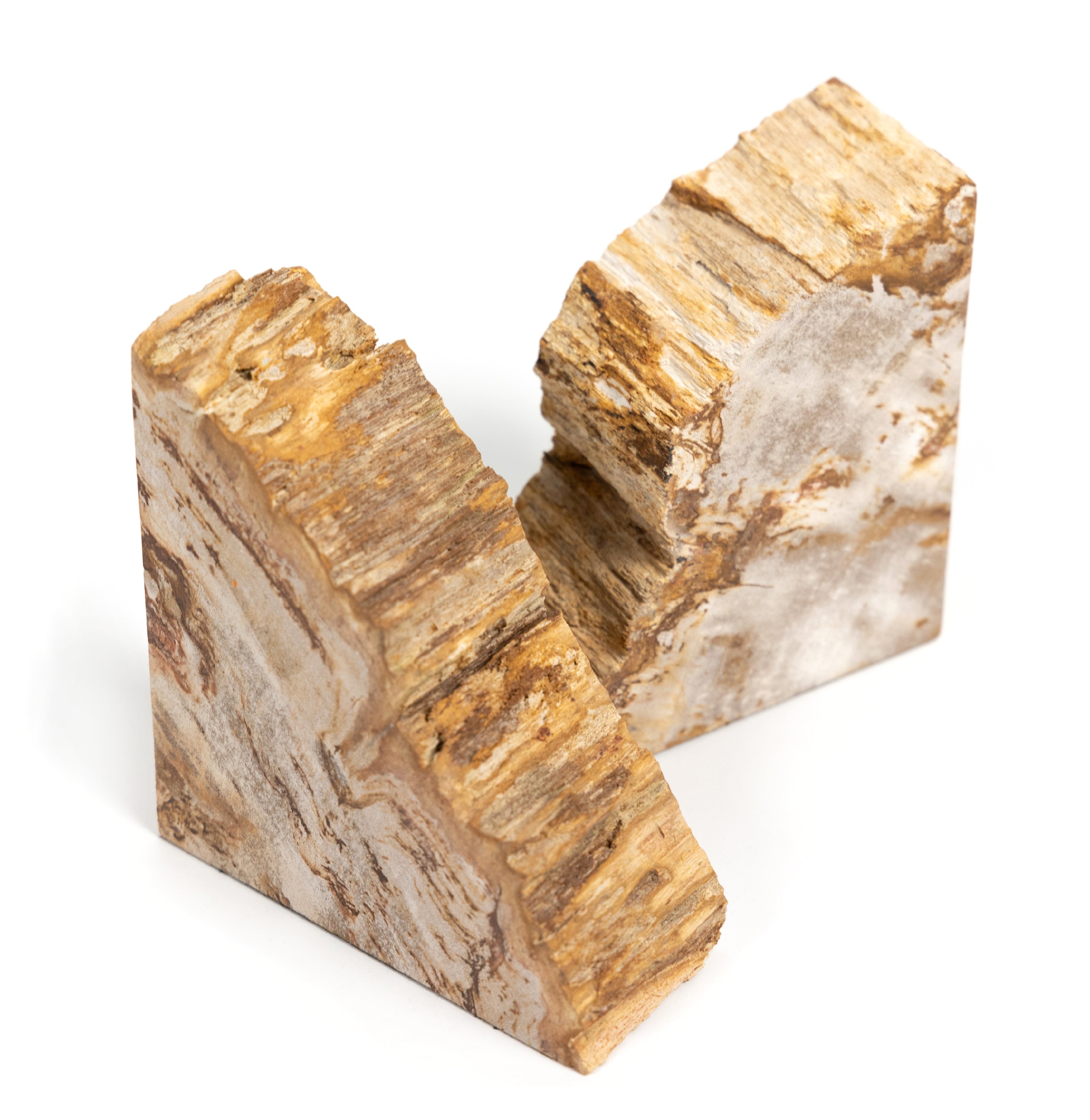 Petrified Wood Bookends