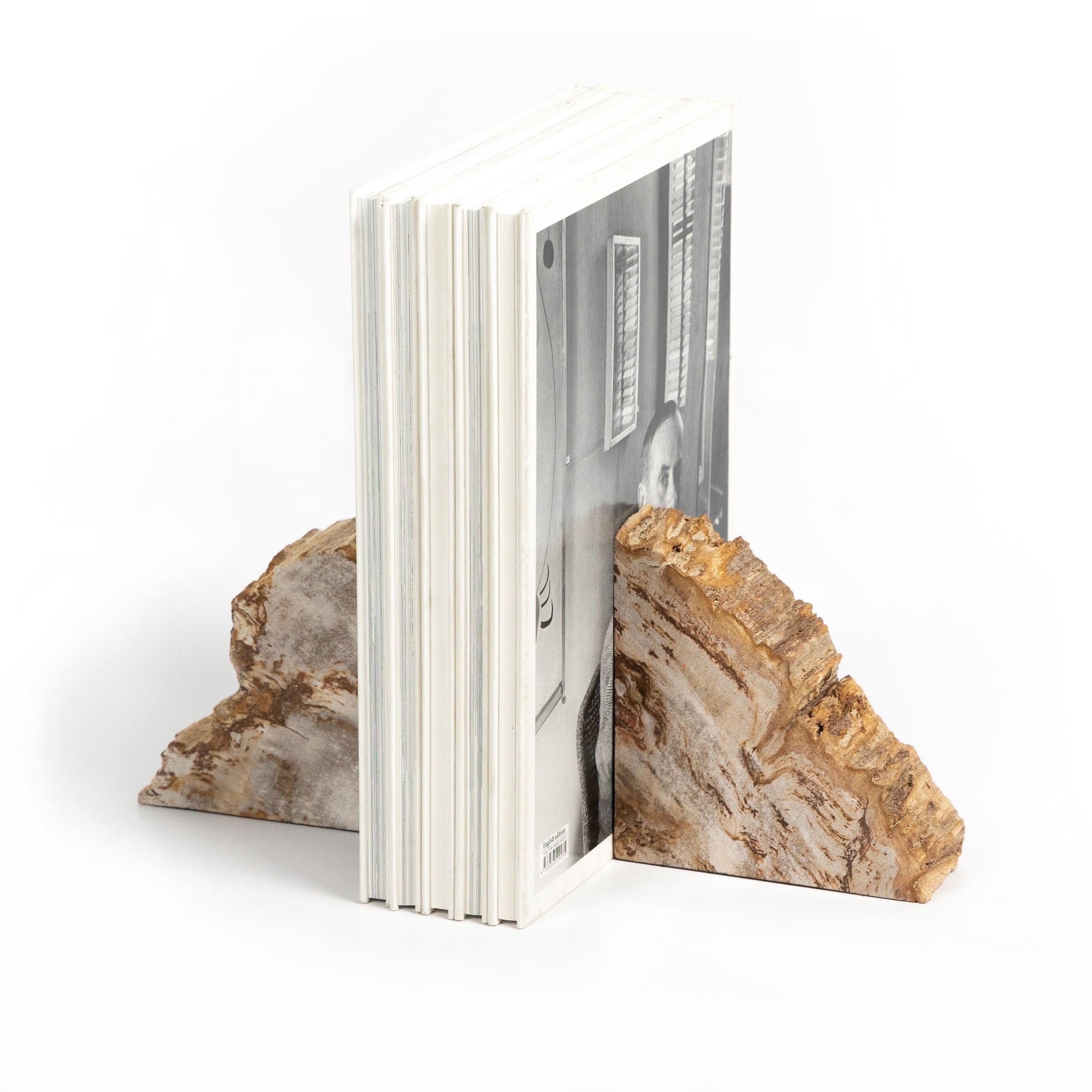 Petrified Wood Bookends
