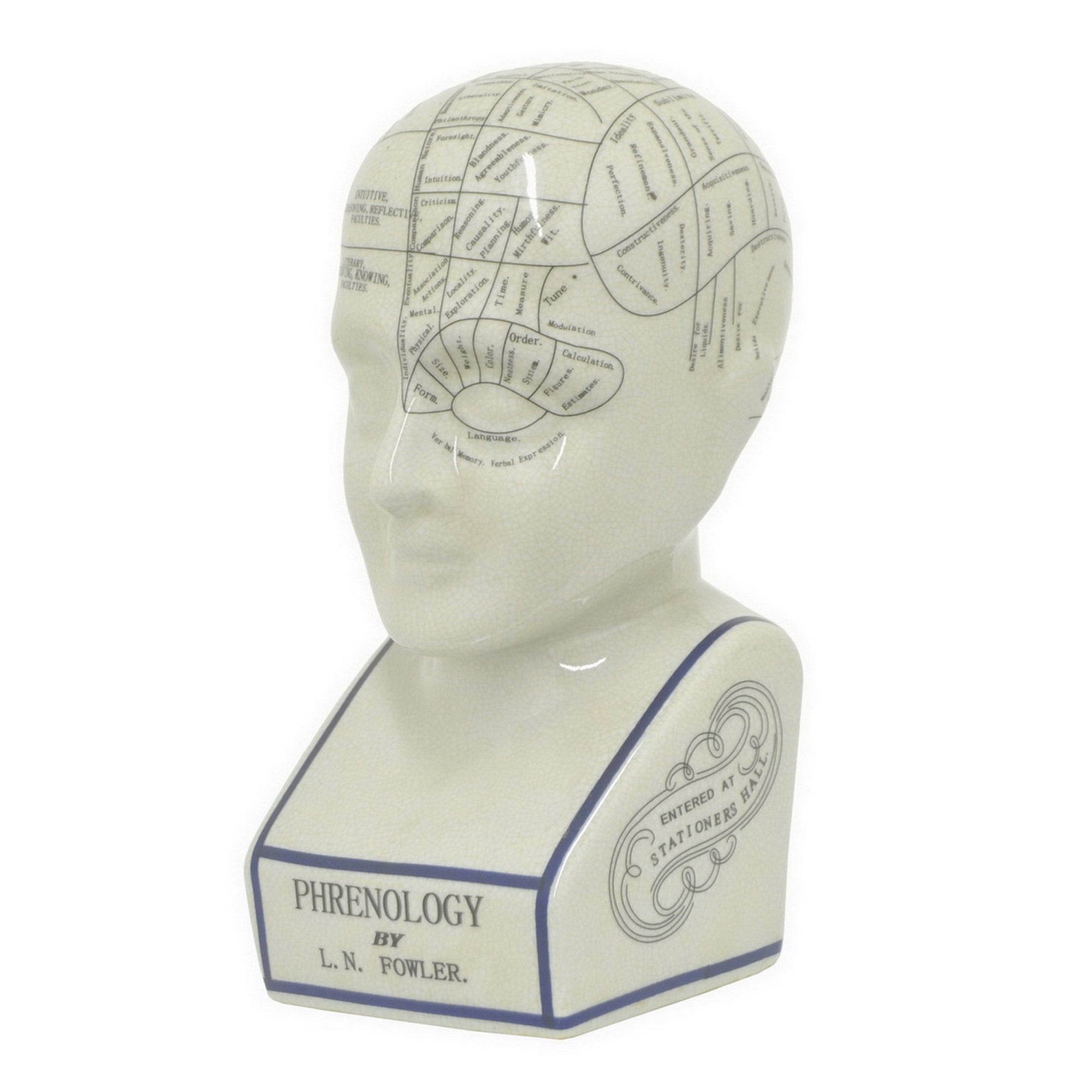 Phrenology Head