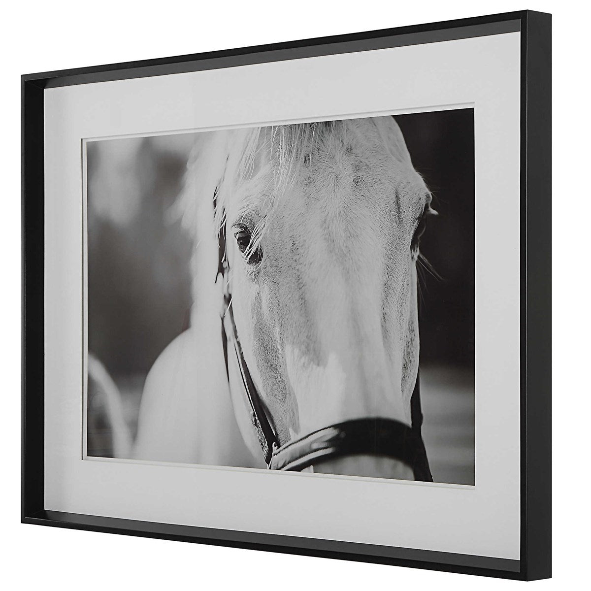 Eyes On the Prize Framed Print