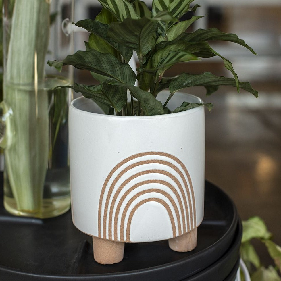 Asha Pot