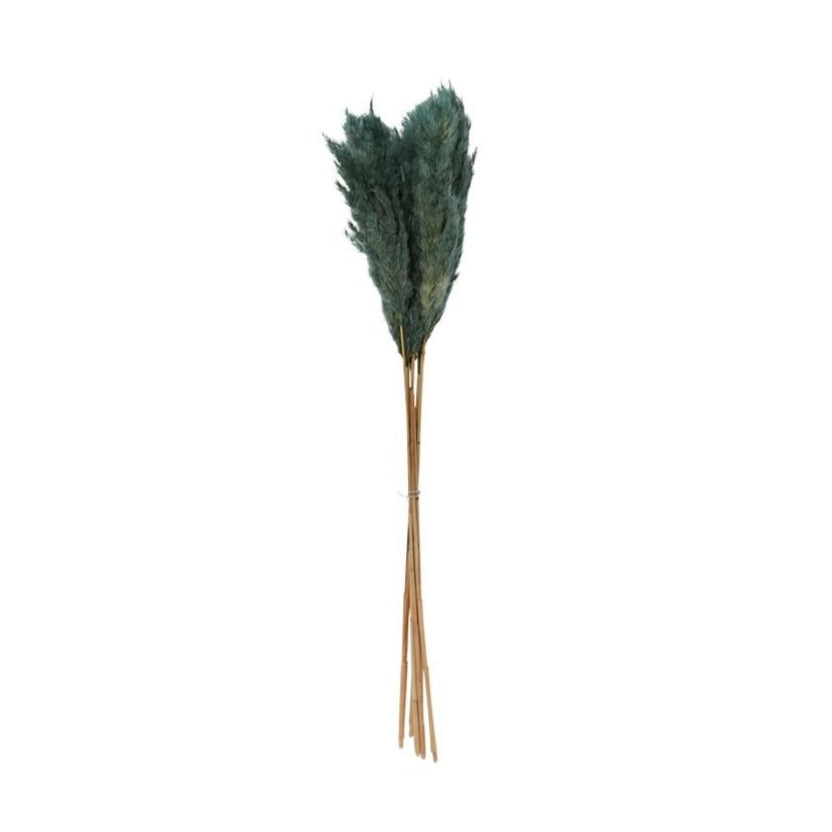 Dried Fluffy Pampas Grass - Blue