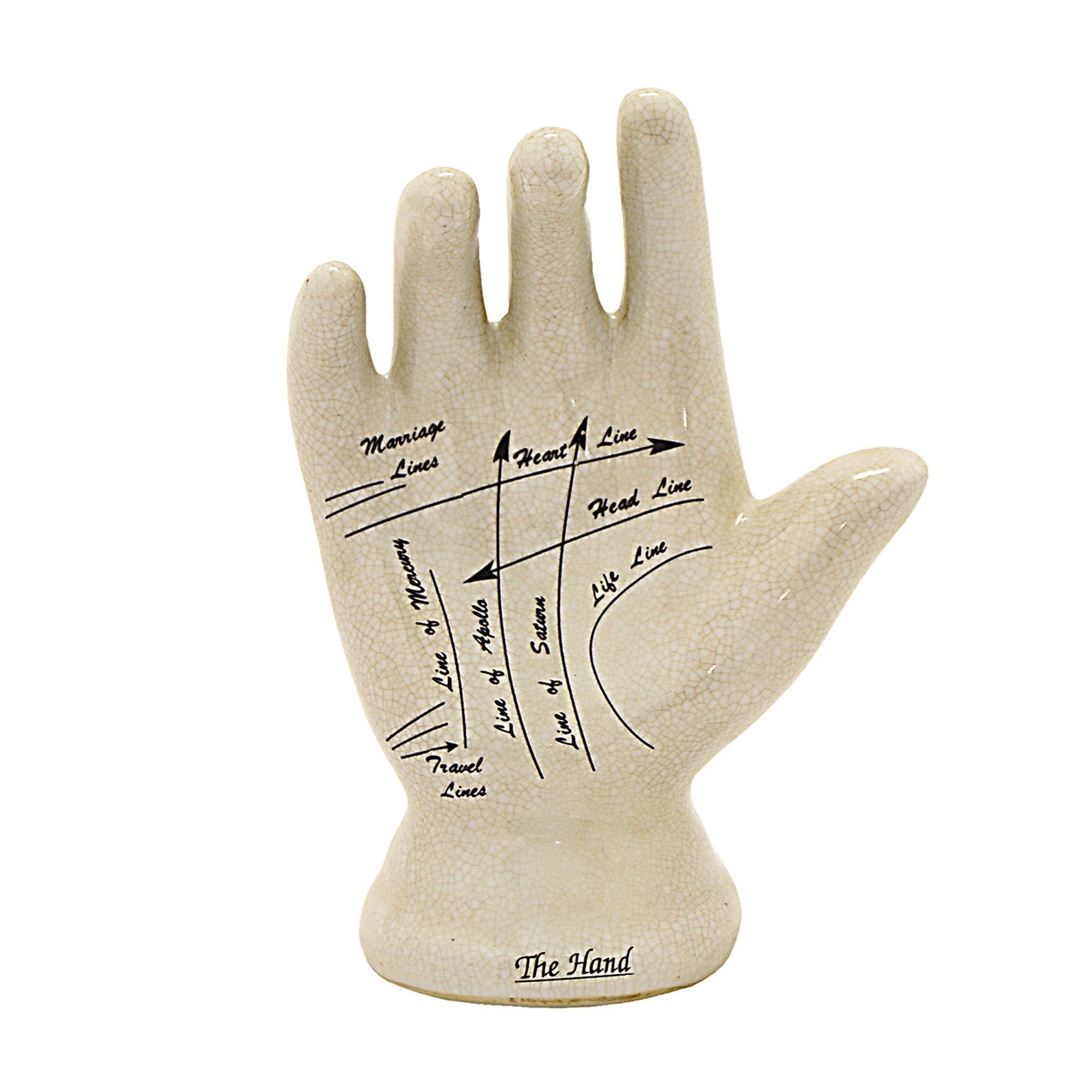 Phrenology Hand