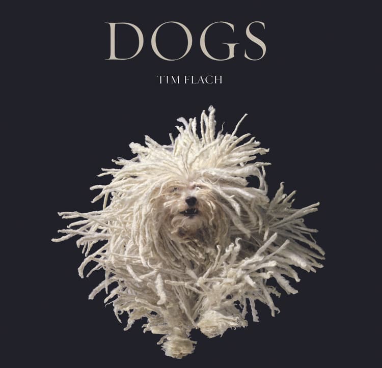 Dogs by Tim Flach