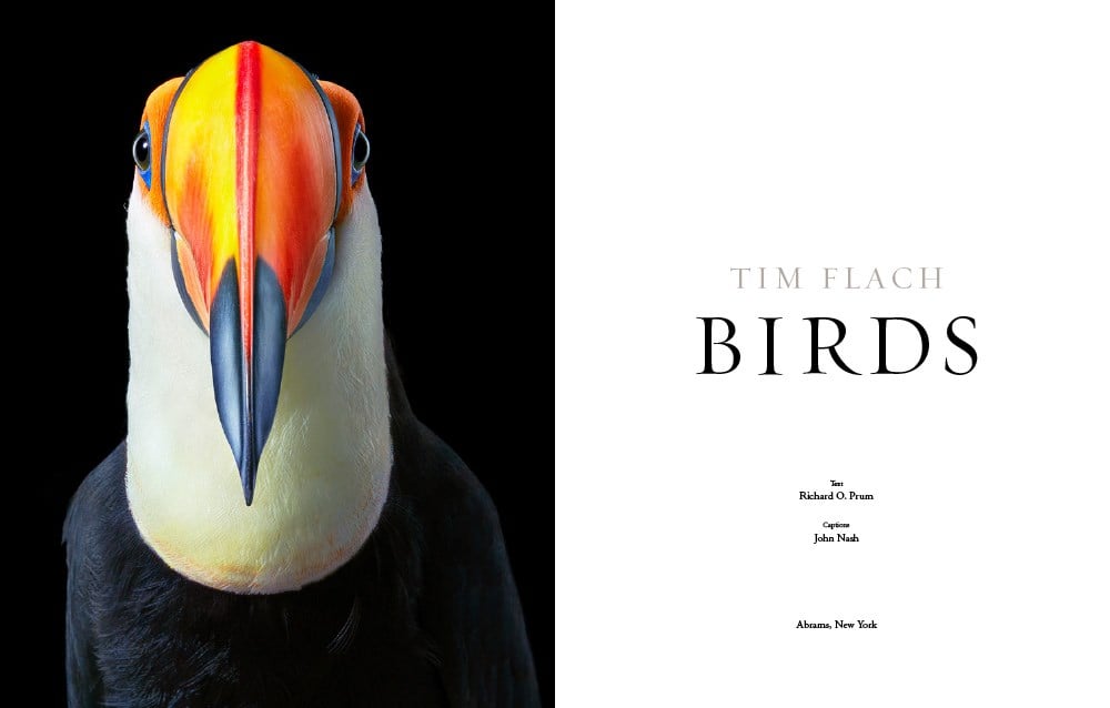 Birds by Tim Flach