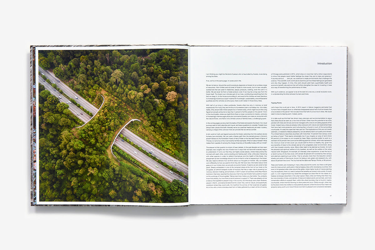The Life & Love of the Forest by Lewis Blackwell