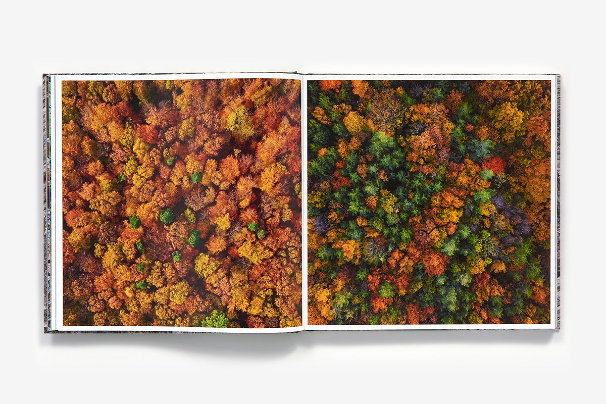The Life & Love of the Forest by Lewis Blackwell