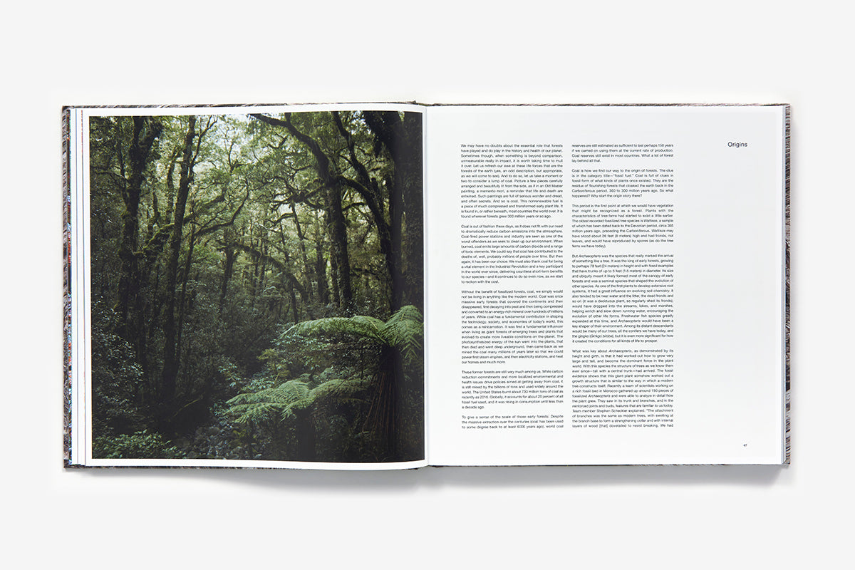 The Life & Love of the Forest by Lewis Blackwell