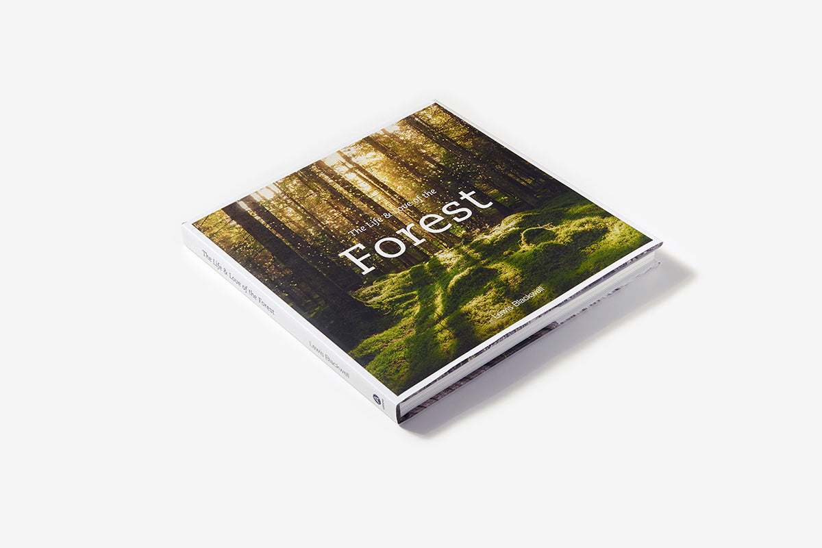 The Life & Love of the Forest by Lewis Blackwell