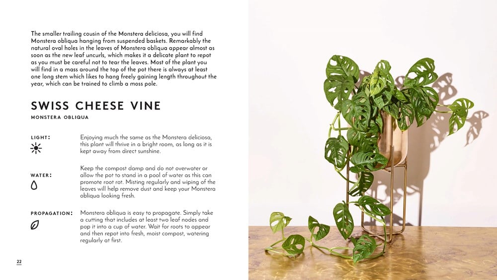 The Little Book of House Plants and Other Greenery