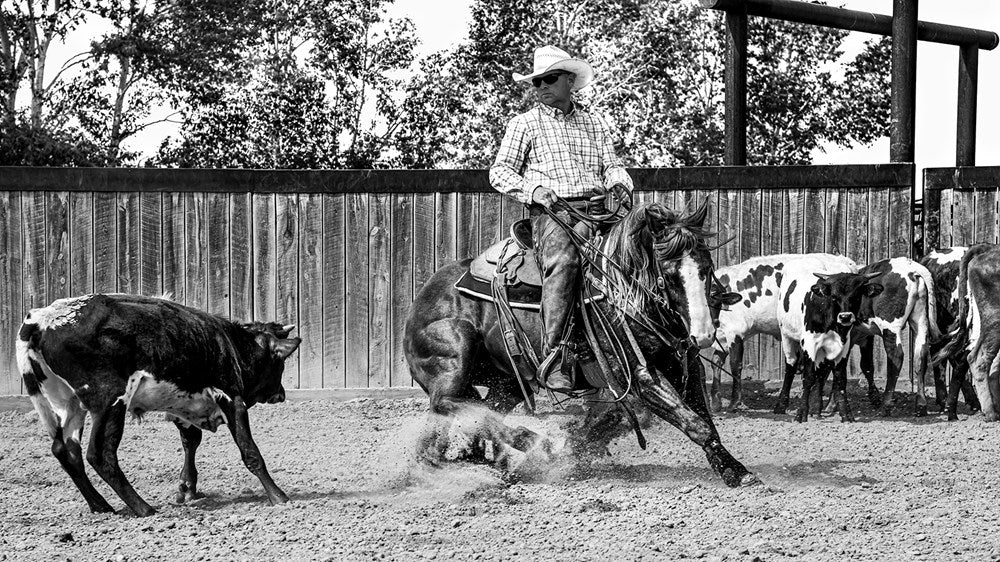 Ranchland: Wagonhound
