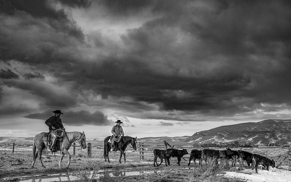Ranchland: Wagonhound