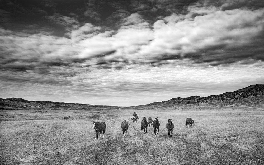 Ranchland: Wagonhound