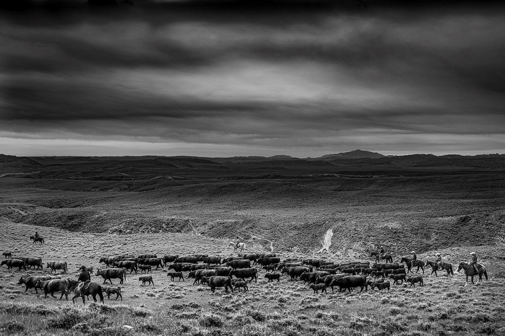 Ranchland: Wagonhound