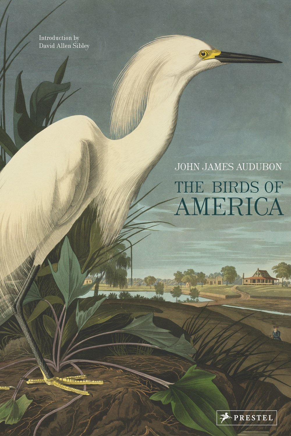 Birds of America by John James Audubon