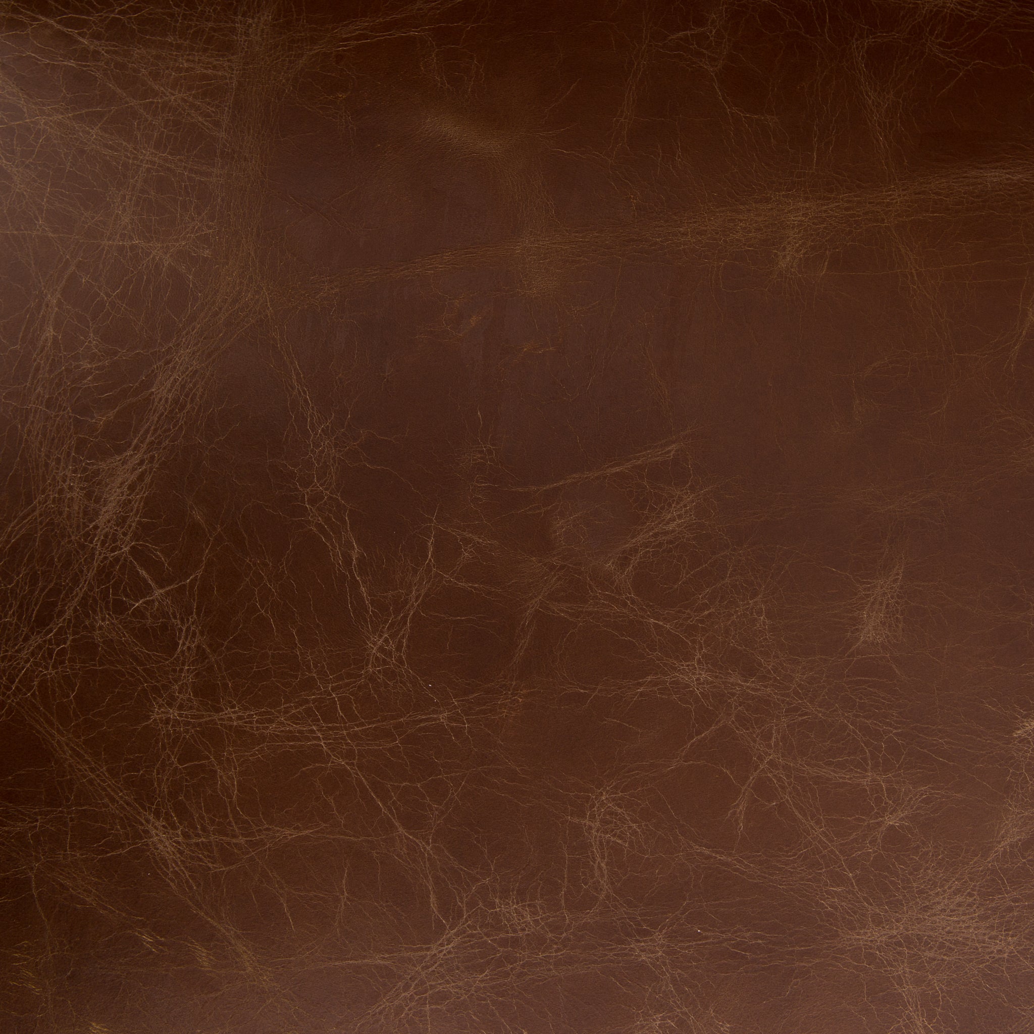 Counter: Sienna Chestnut Leather