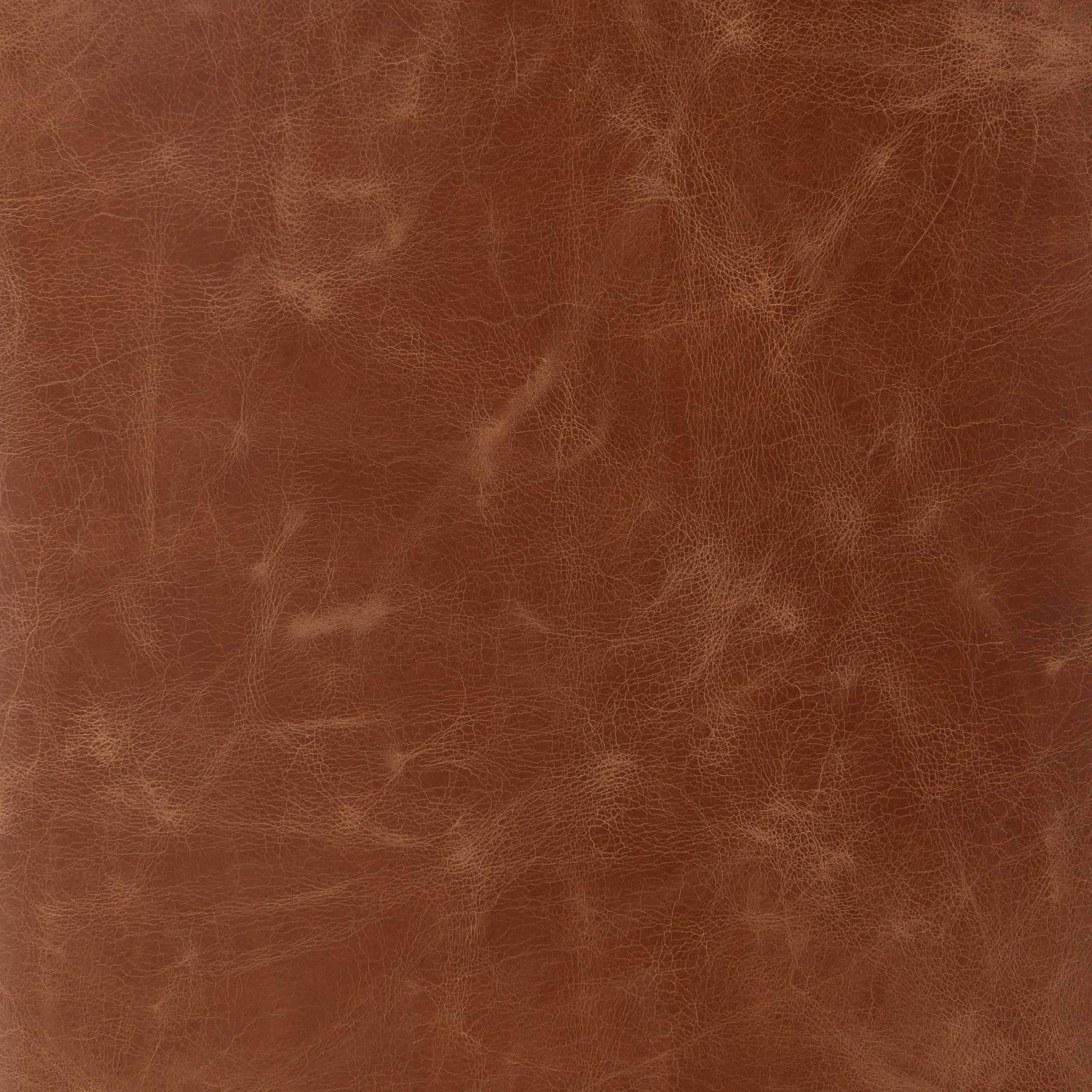 Sienna Chesnut / Warm Nettlewood