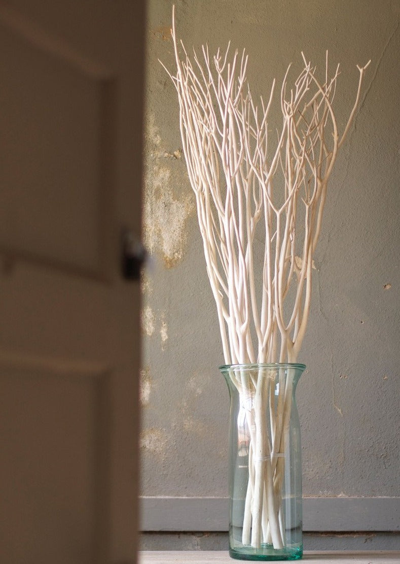 Bleached Willow Branches