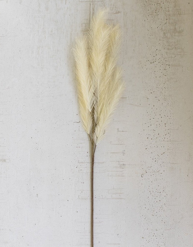 Pampas Stem