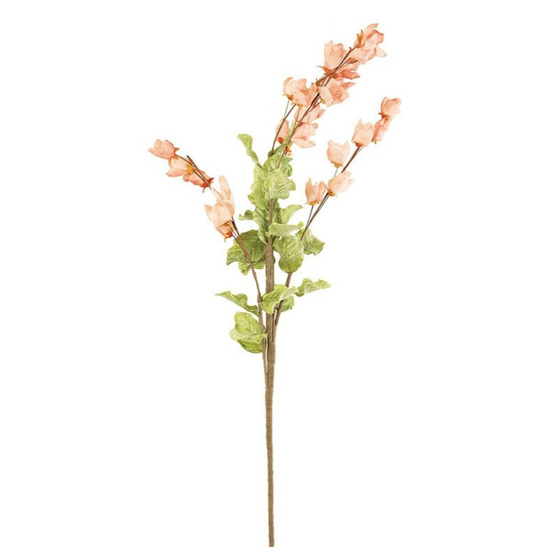 Botanica #3188*