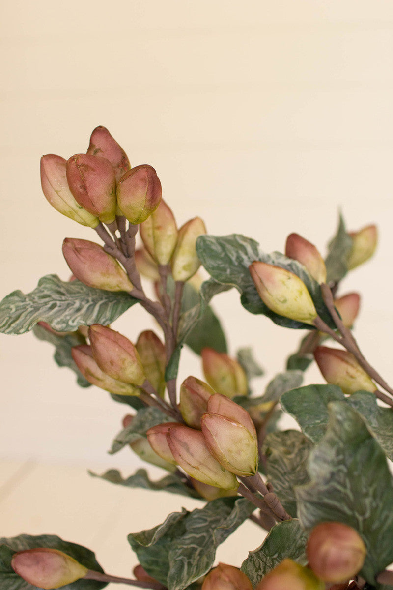 Botanica #3361*