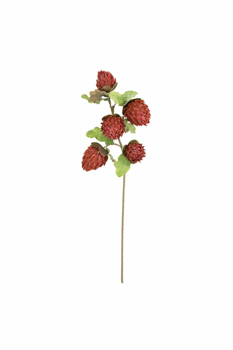 Botanica #3379