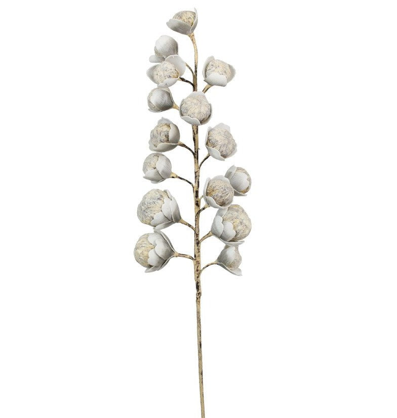 Botanica #2297