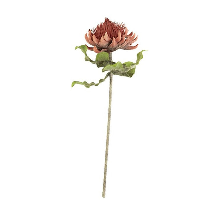 Botanica #2422
