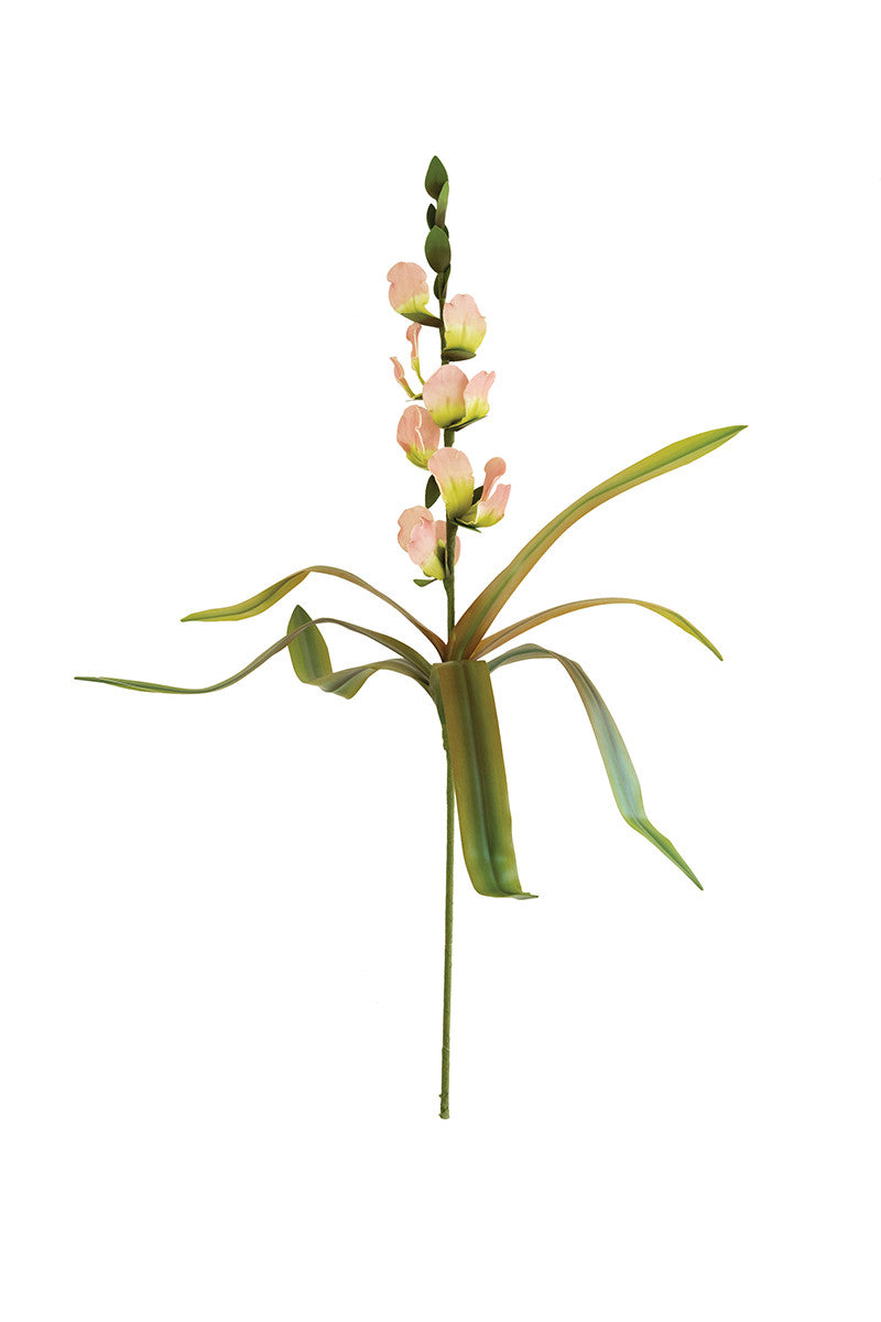 Botanica #2506*