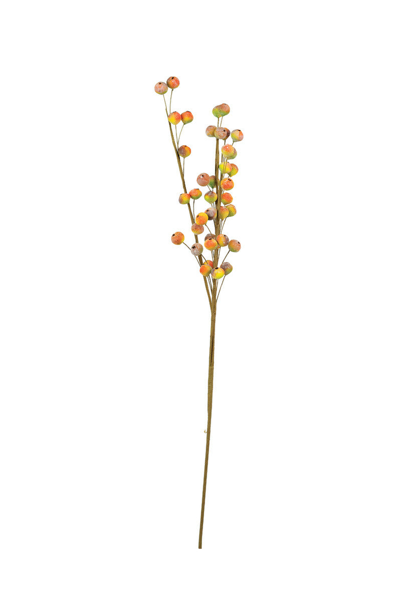 Botanica #2537