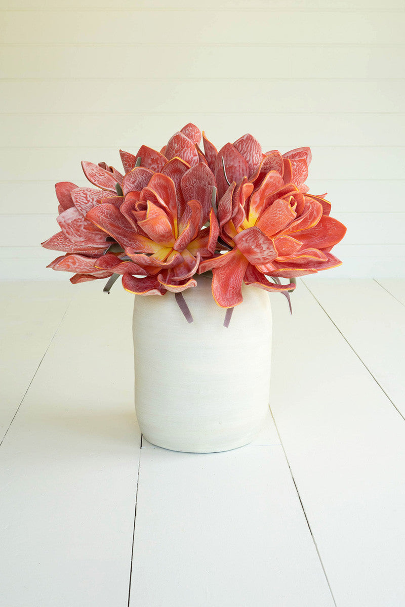 Botanica #2651