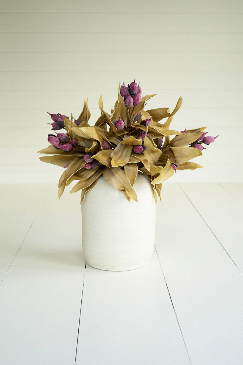 Botanica #2668