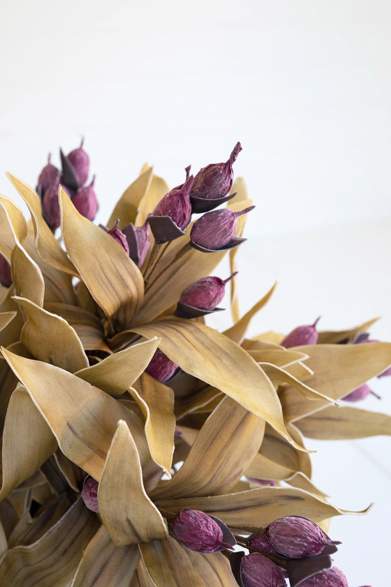 Botanica #2668