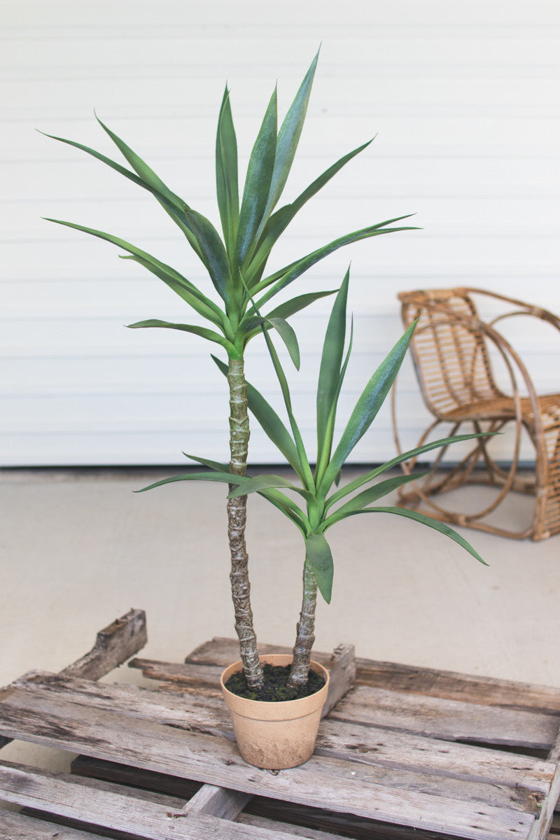 Artificial Heneken Plant with Pot
